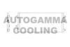 AUTOGAMMA 103302 Condenser, air conditioning